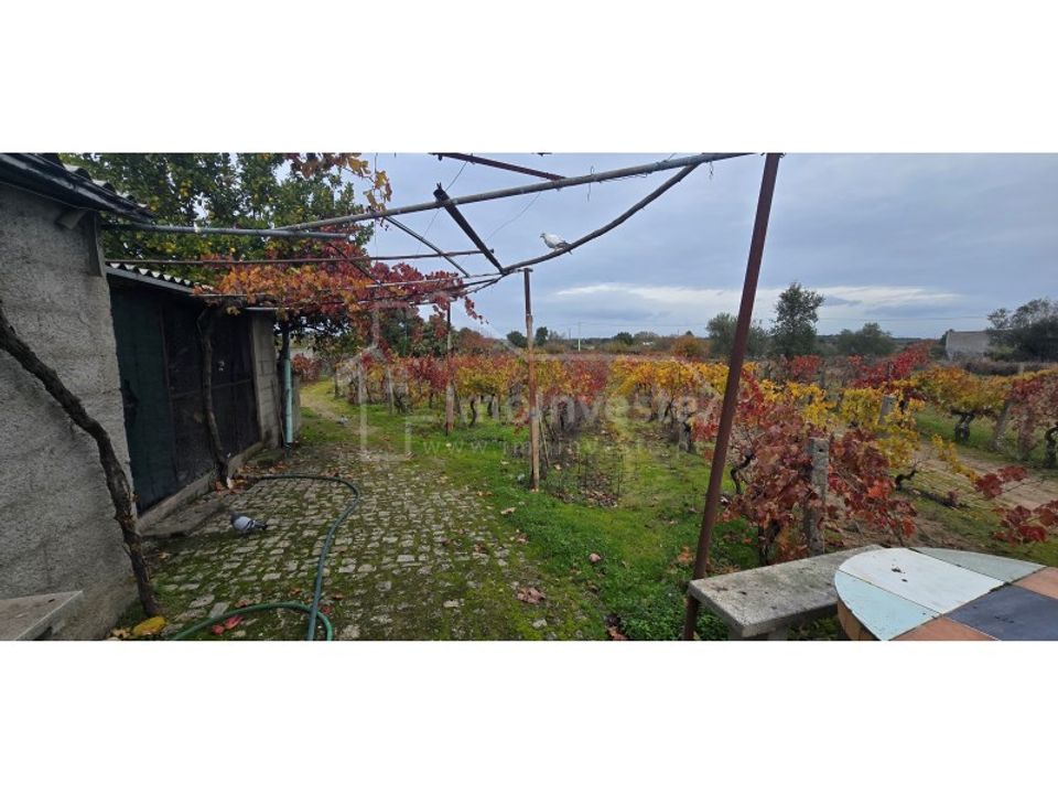 Terra a Alcains, Castelo Branco - foto 3