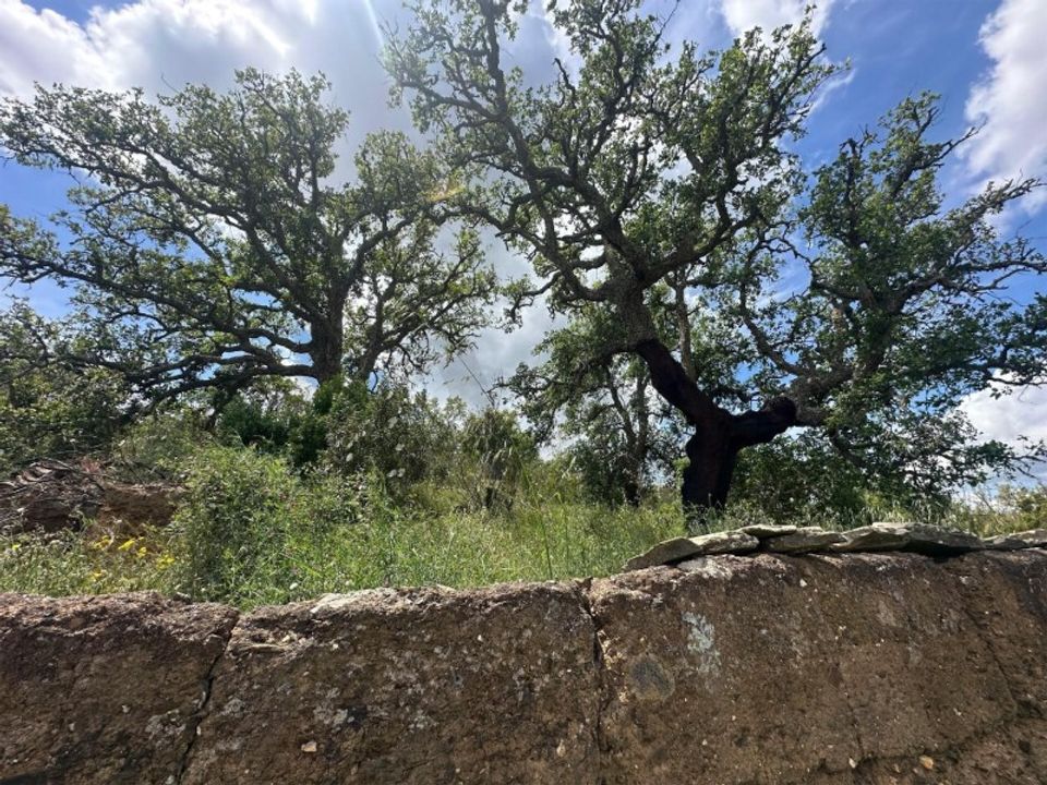 Helårsgrund i Odemira, Beja - foto 4