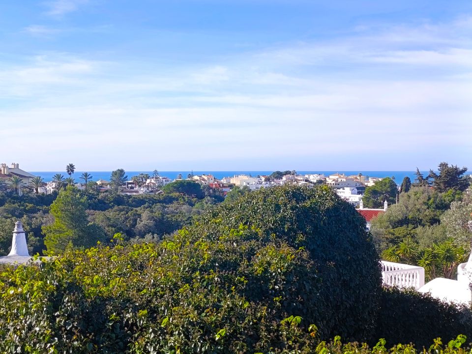 Villa i Lagoa, Faro - foto 4