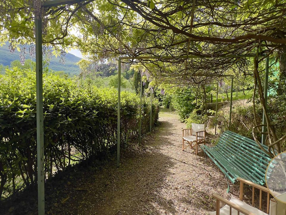 Farm hus i Cetona, Siena - foto 3