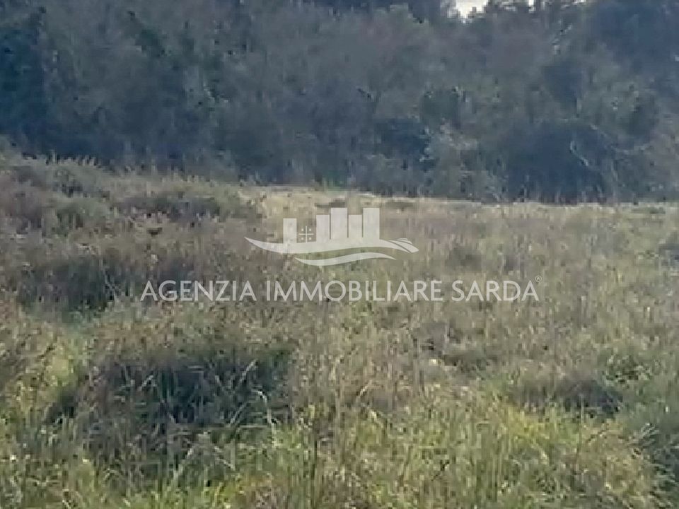 Helårsgrund i Calangianus, Sassari - foto 3