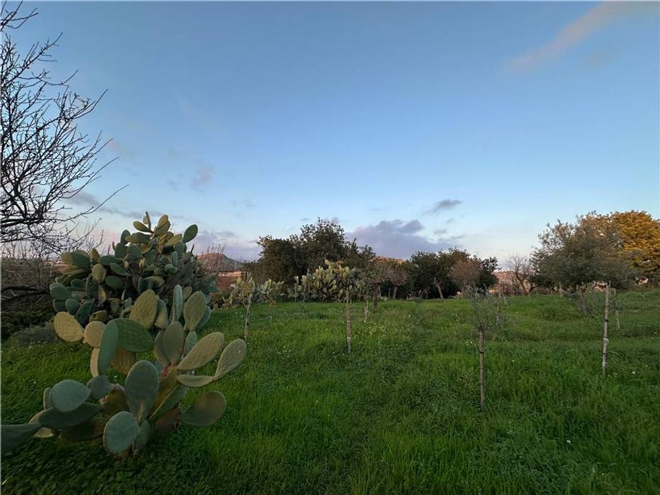 Helårsgrund i Noto, Siracusa - foto 5