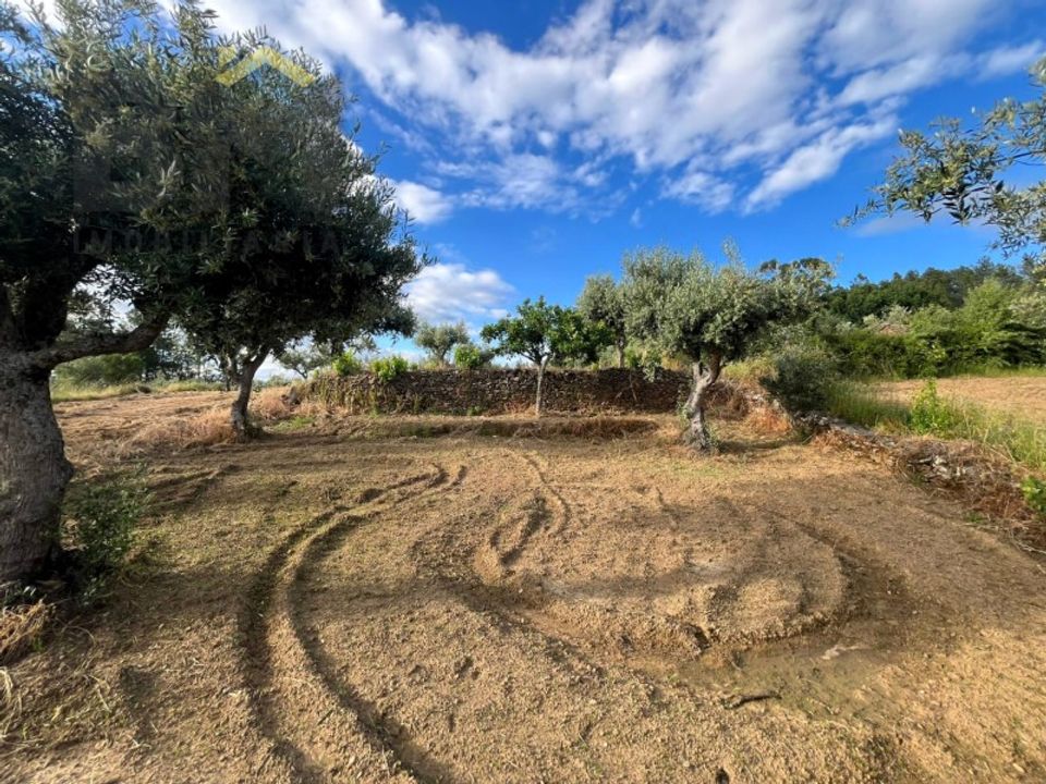 Helårsgrund i Castelo Branco, Castelo Branco - foto 4