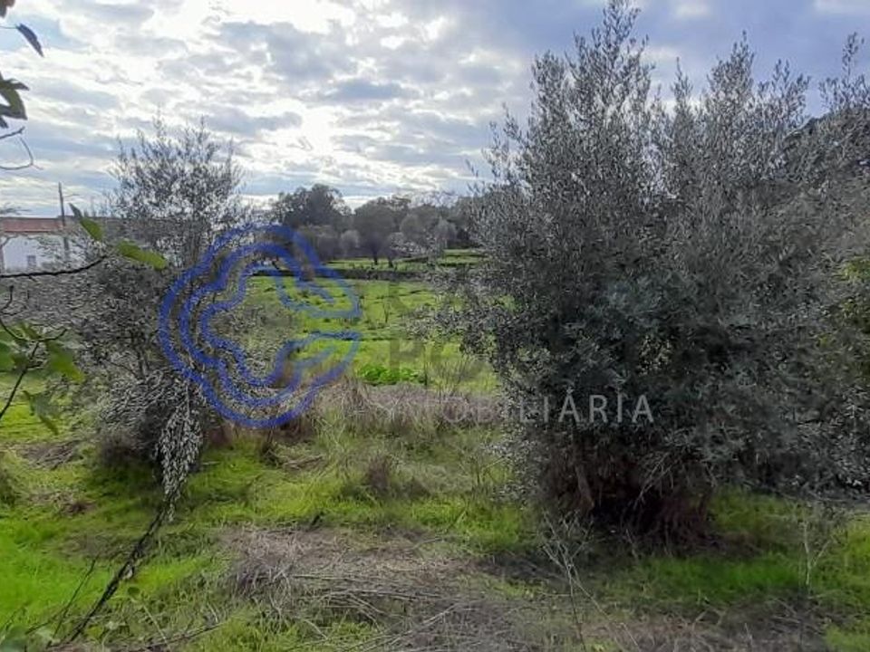Helårsgrund i Fundao, Castelo Branco - foto 3