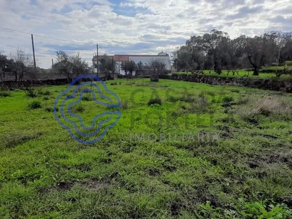Helårsgrund i Fundao, Castelo Branco - foto 5