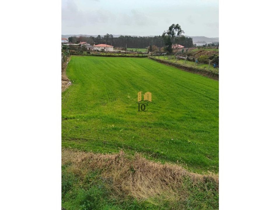 Helårsgrund i Ribeirao, Braga - foto 5