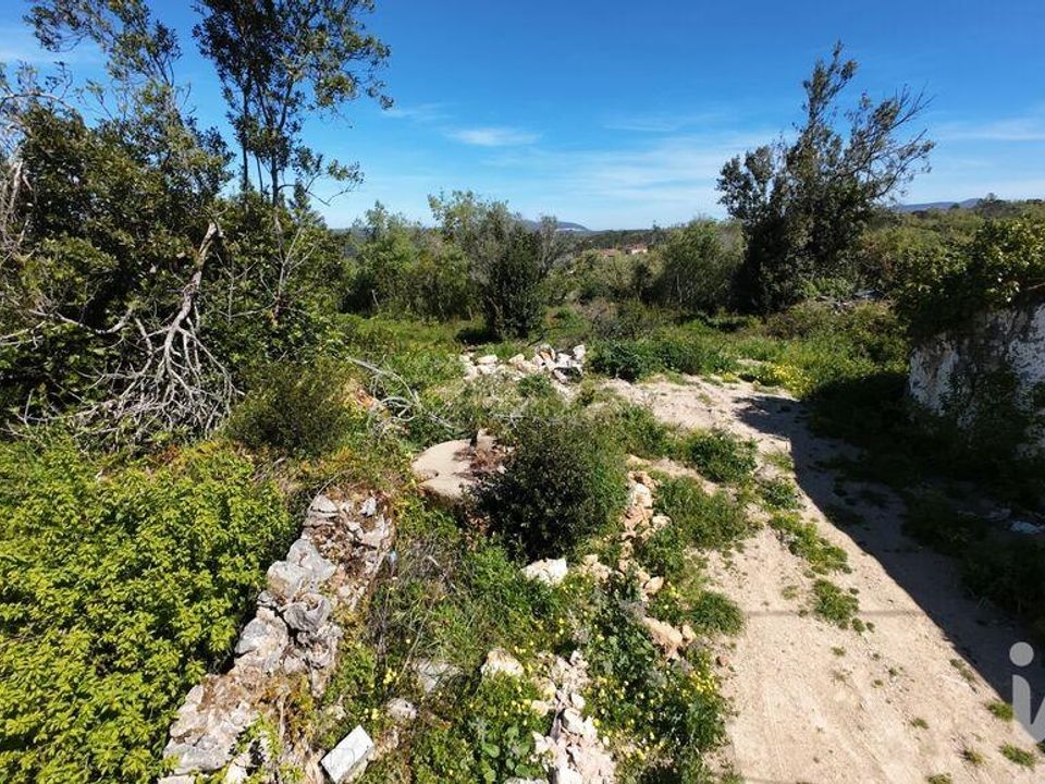 Terreno en Pombal, Leiria - foto 5