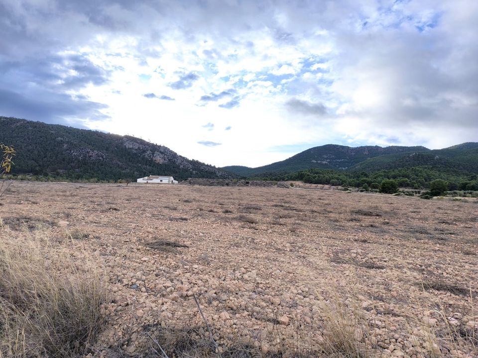 Landejendom i Yecla, Murcia - foto 1