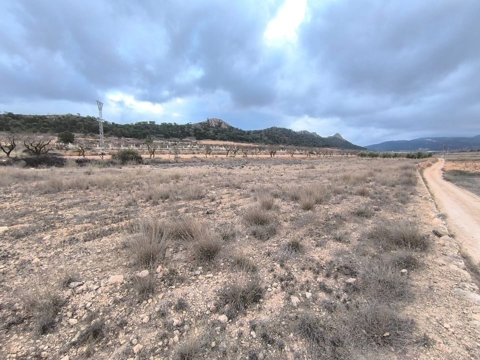 Helårsgrund i La Solana, Alicante - foto 3