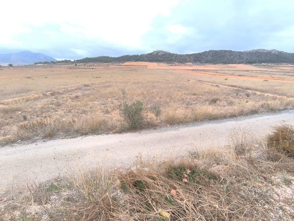Helårsgrund i La Solana, Alicante - foto 2