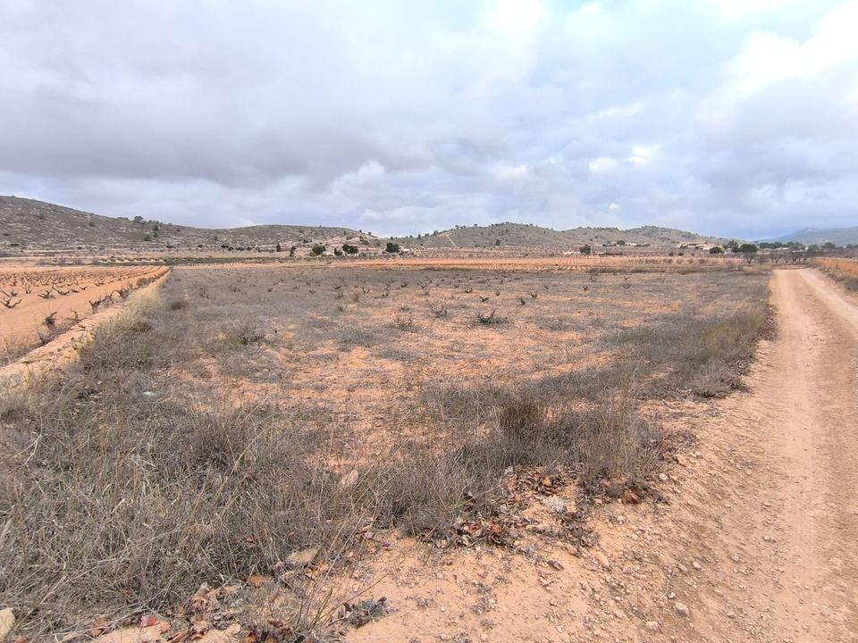 Helårsgrund i La Solana, Alicante - foto 2