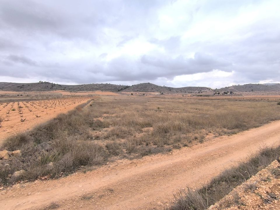 Helårsgrund i La Solana, Alicante - foto 2