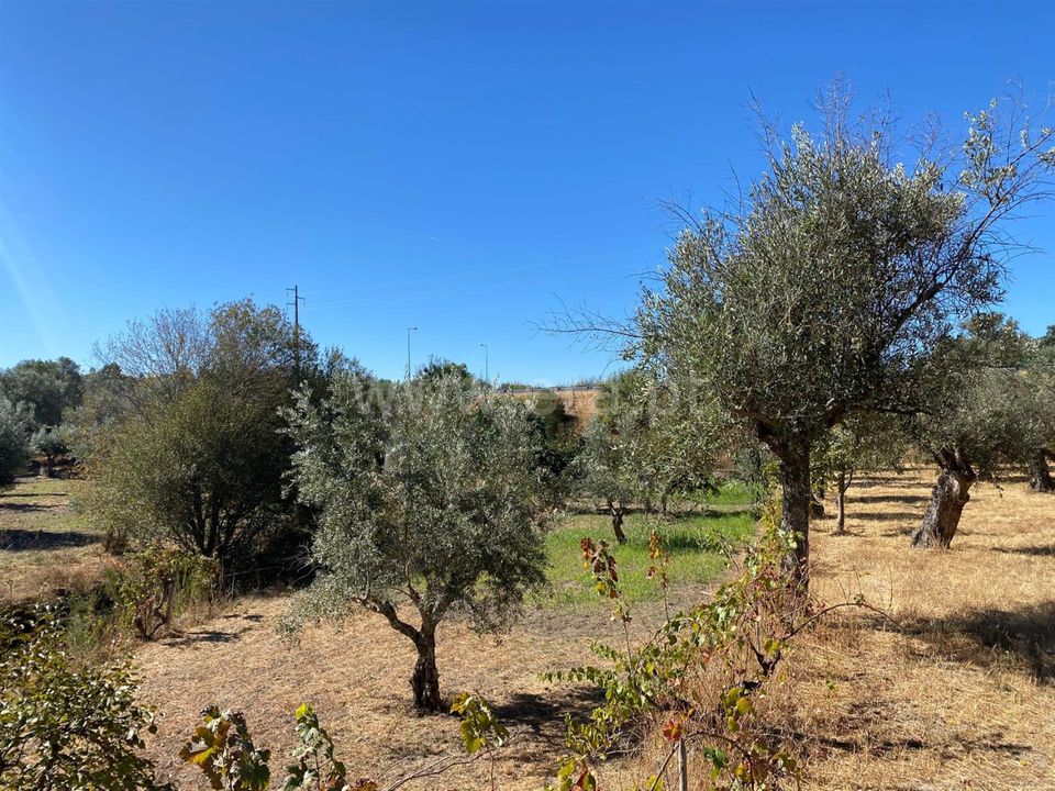 Landejendom i Fundao, Castelo Branco - foto 3