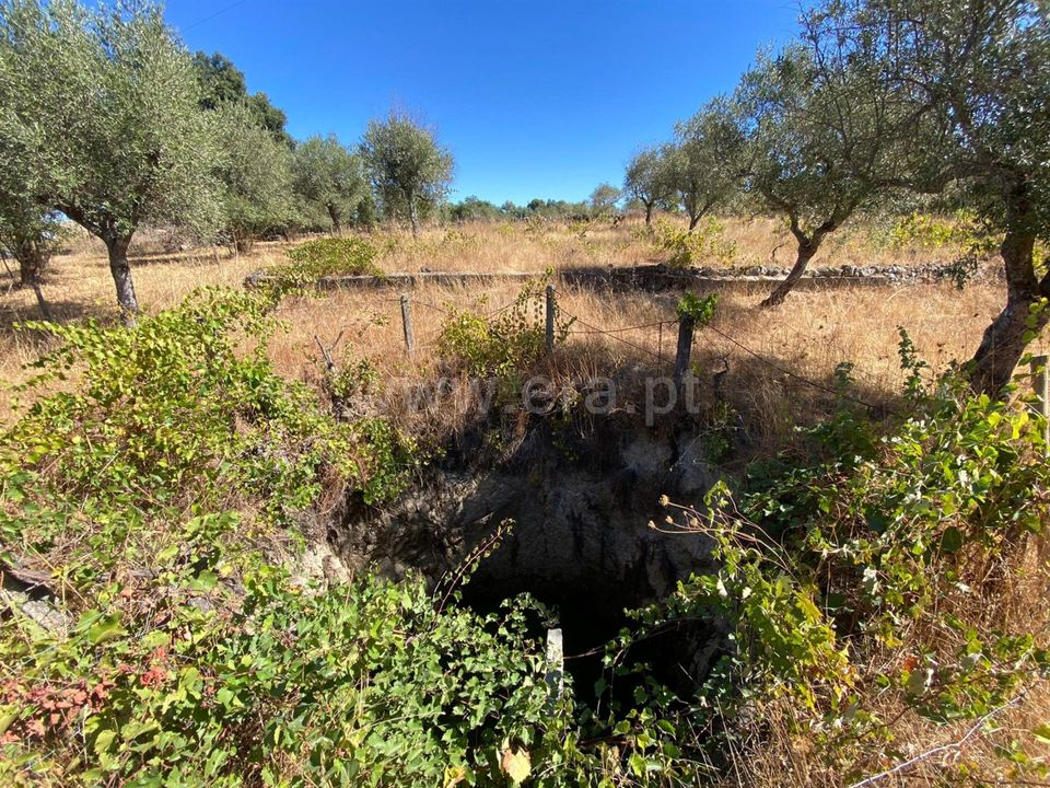 Landejendom i Fundao, Castelo Branco - foto 4