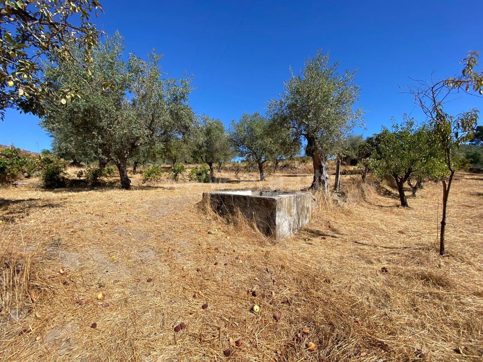 Landejendom i Fundao, Castelo Branco - foto 5