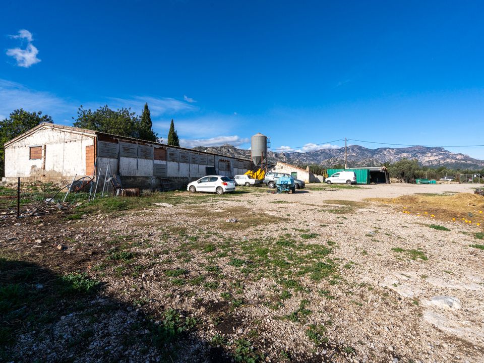 Farm i Mas De Barberans, Tarragona - foto 3