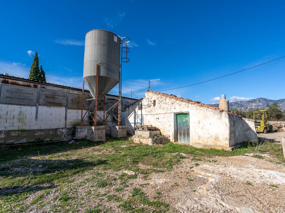 Farm i Mas De Barberans, Tarragona - foto 1