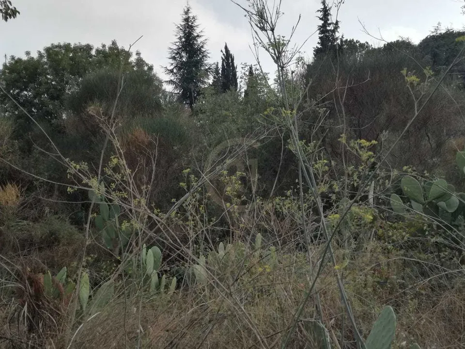 Helårsgrund i Mascalucia, Catania - foto 3