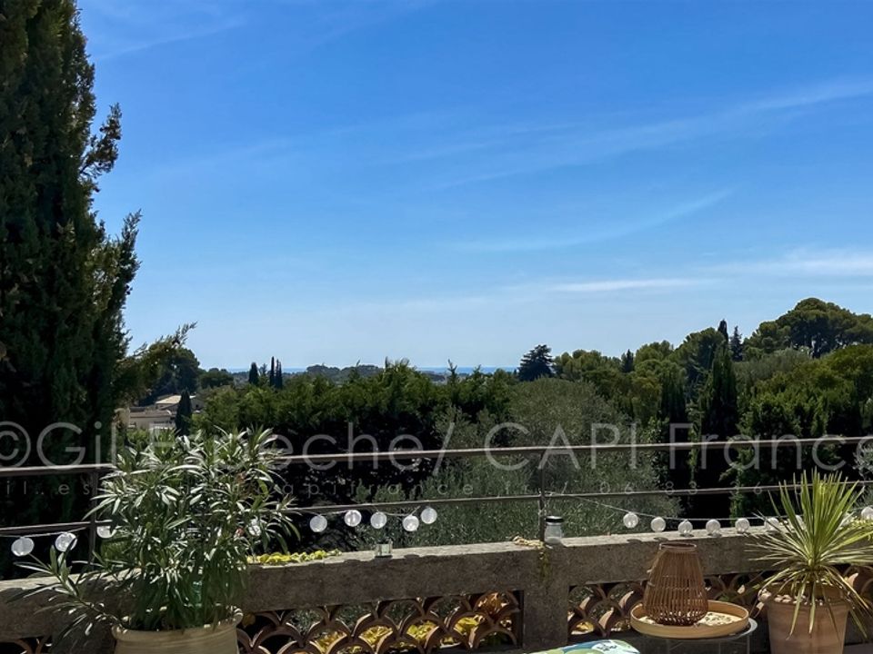 Villa i Mougins, Alpes-Maritimes - foto 5