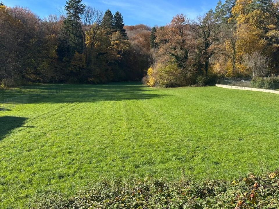 Helårsgrund i Lougres, Doubs - foto 1