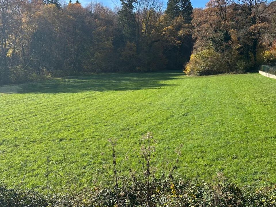 Helårsgrund i Lougres, Doubs - foto 2