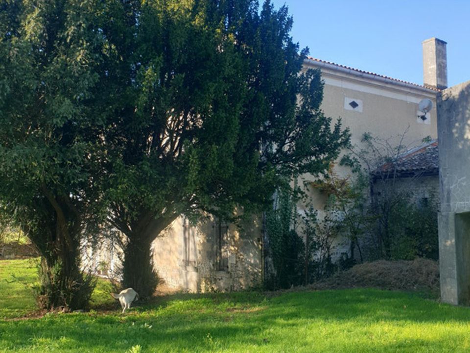 Landejendom i Barbezieux-Saint-Hilaire, Charente - foto 2