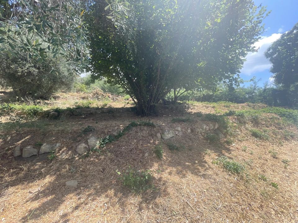 Helårsgrund i Coaraze, Alpes-Maritimes - foto 3