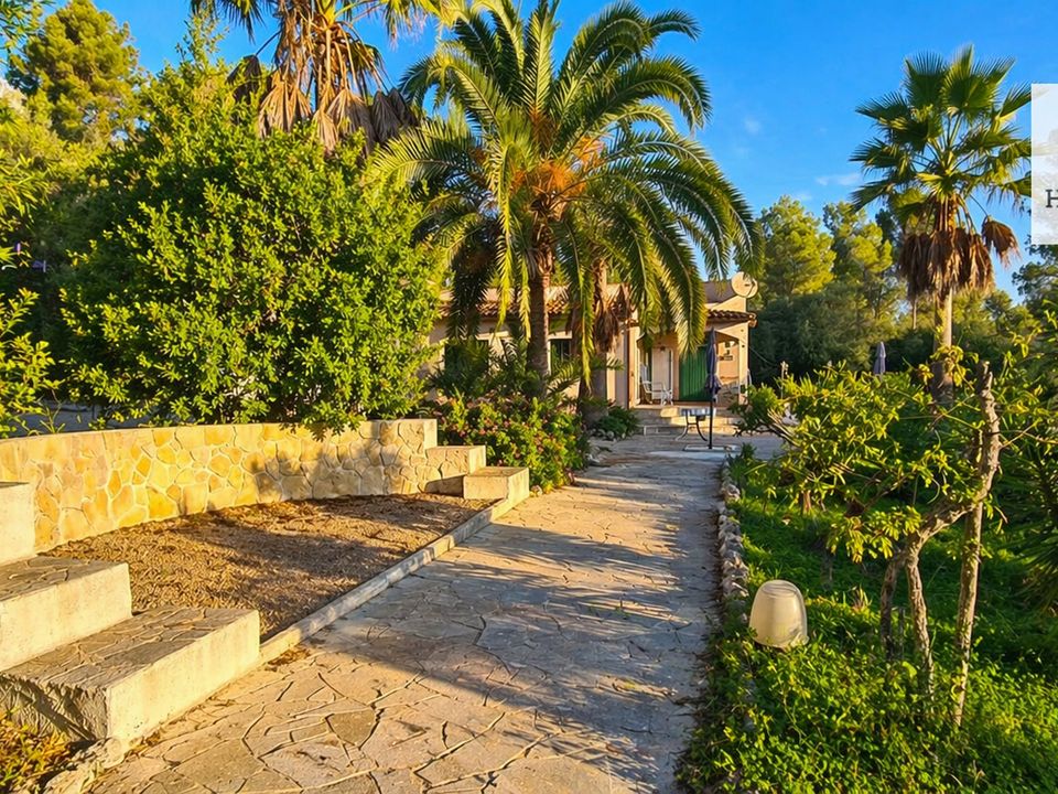Landejendom i Pina, Mallorca - foto 5