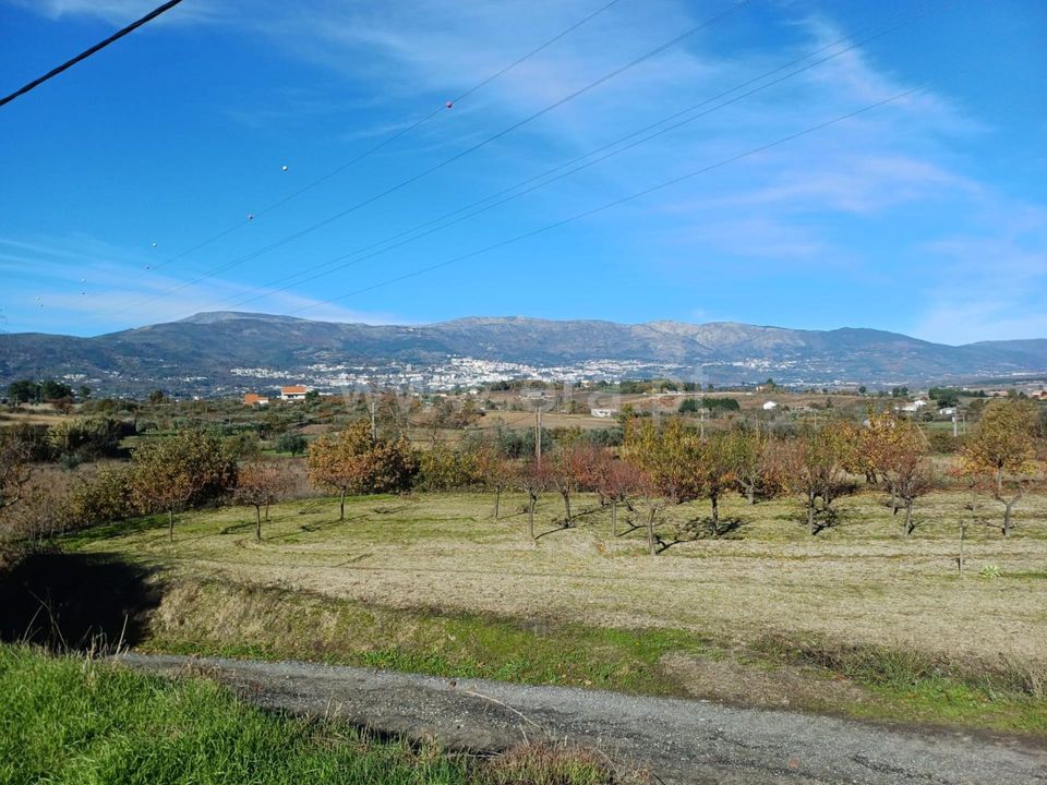 Erhvervsejendom i Covilha, Castelo Branco - foto 2
