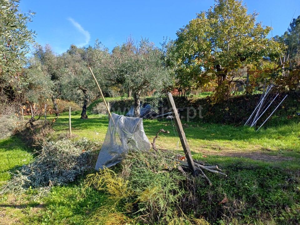 Erhvervsejendom i Covilha, Castelo Branco - foto 5