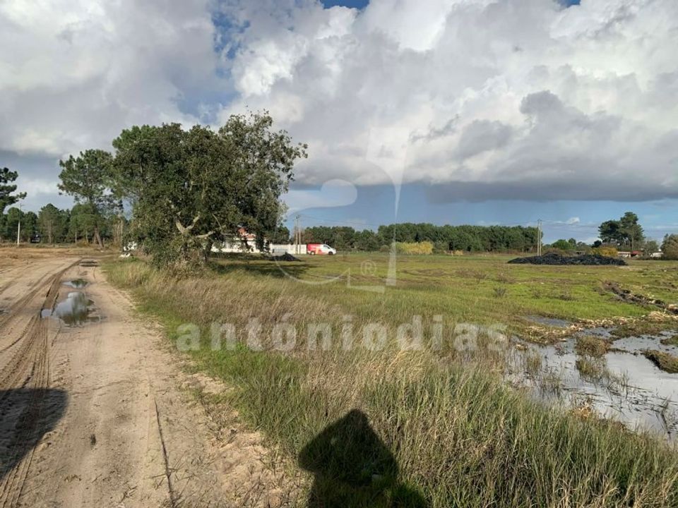 Helårsgrund i Salvaterra de Magos, Santarem - foto 1