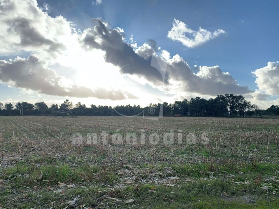Helårsgrund i Salvaterra de Magos, Santarem - foto 3