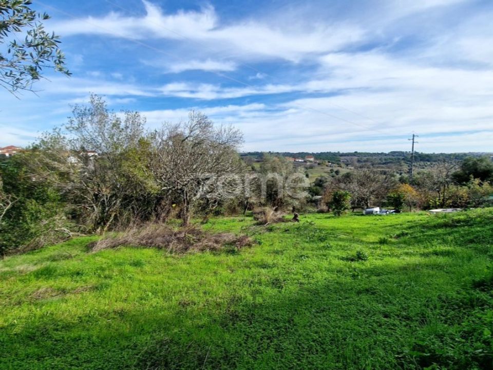 Terra em Assentiz, Santarem - foto 1