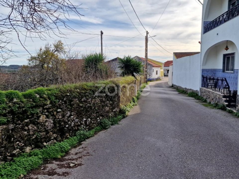 Terra em Assentiz, Santarem - foto 5