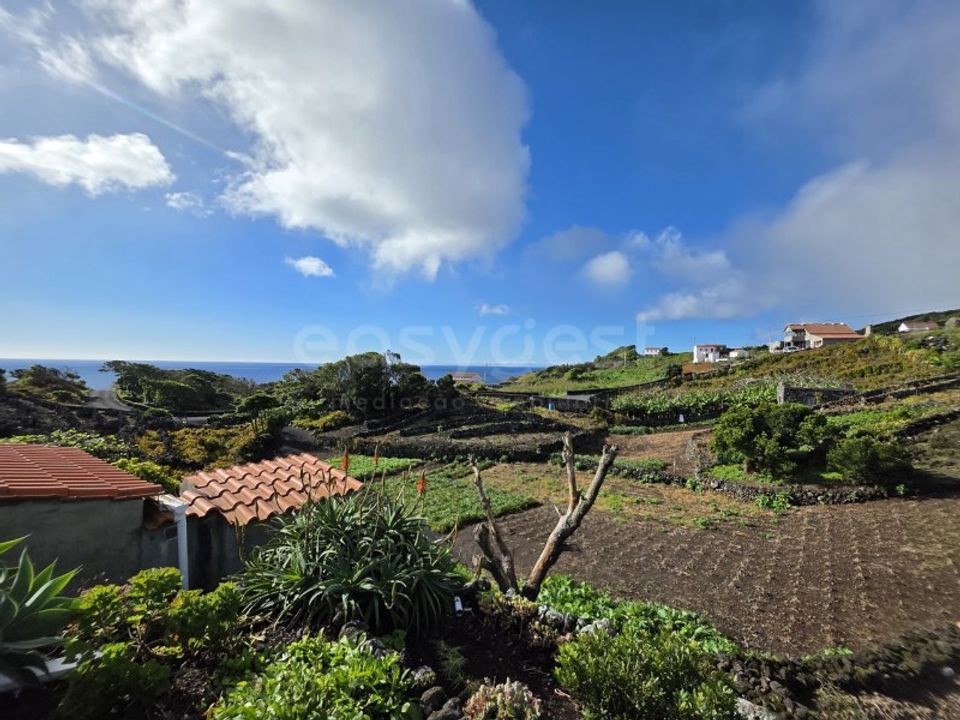 Erhvervsejendom i Lajes do Pico, Pico - foto 2