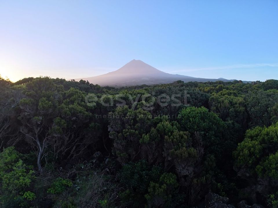 Helårsgrund i Madalena, Pico - foto 1