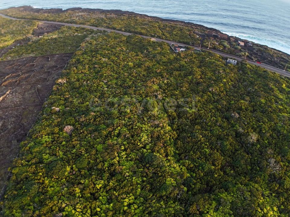 Helårsgrund i Madalena, Pico - foto 4