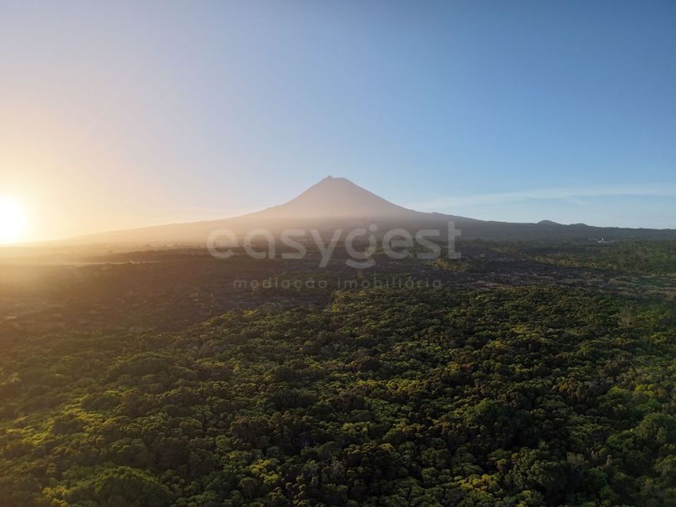 Helårsgrund i Madalena, Pico - foto 5