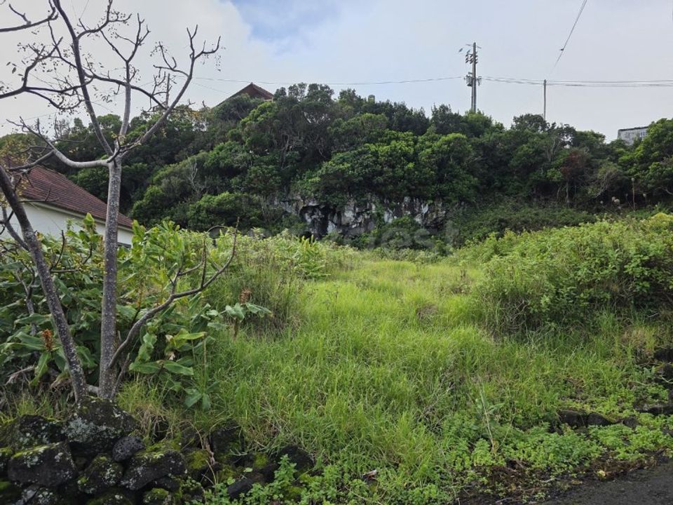 Helårsgrund i Piedade, Pico - foto 4