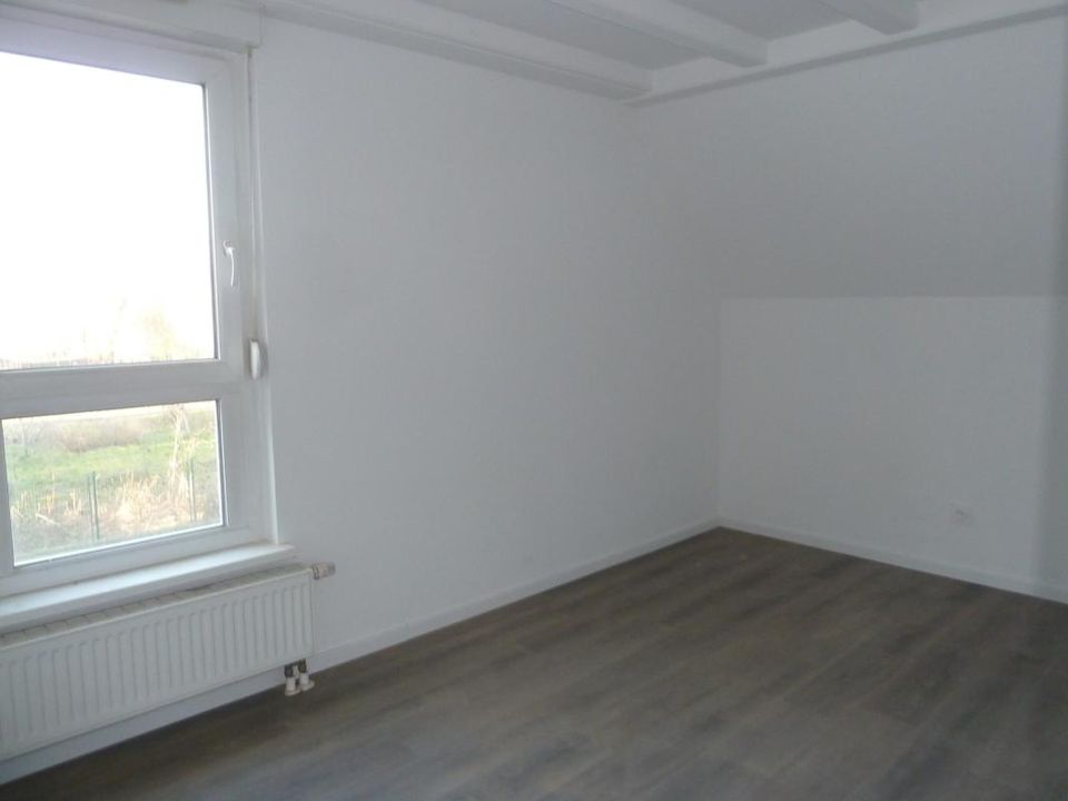 Byhus i Drusenheim, Bas-Rhin - foto 5