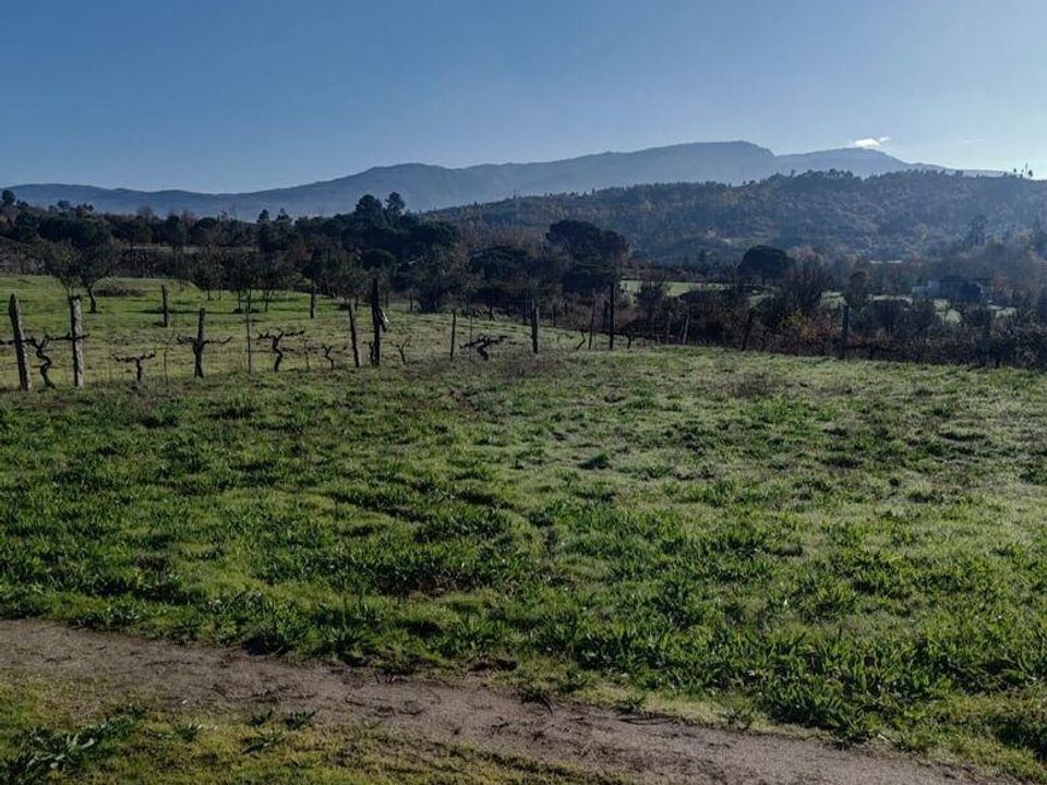 Terreno en Oliveira do Hospital, Coimbra - foto 1