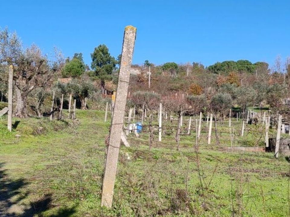 Terreno en Oliveira do Hospital, Coimbra - foto 2