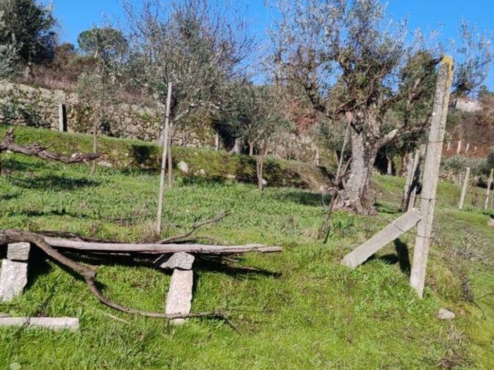 Terreno en Oliveira do Hospital, Coimbra - foto 4