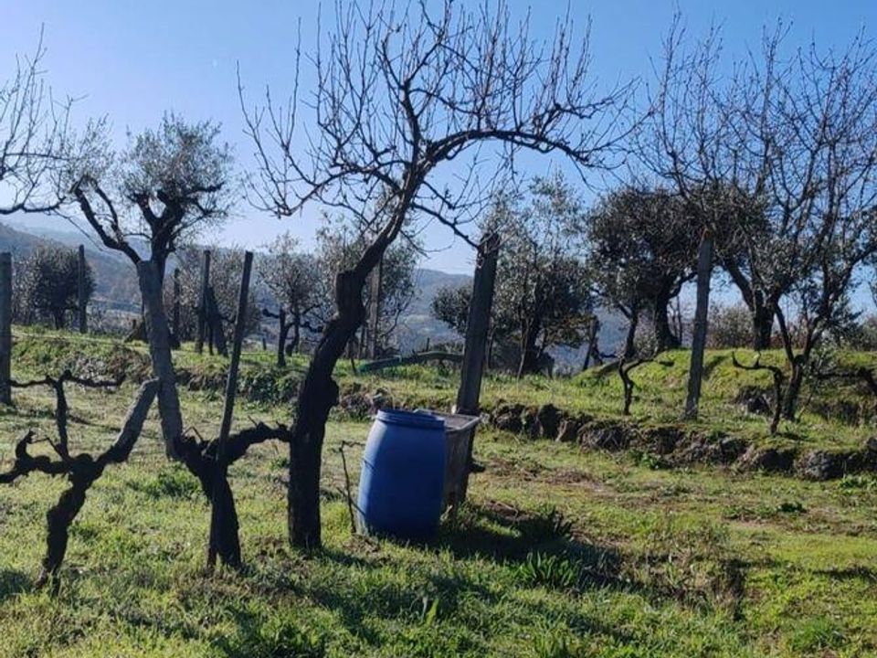 Terreno en Oliveira do Hospital, Coimbra - foto 5