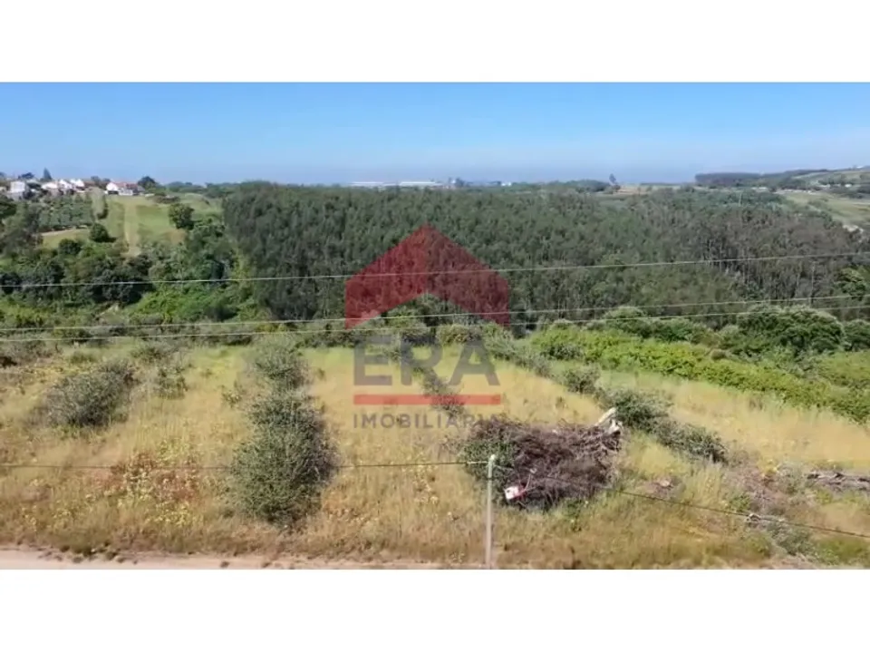 Terra a Carvalhal, Leiria - foto 1