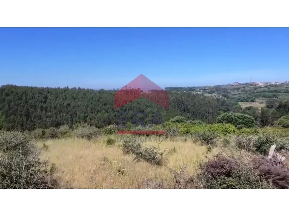 Terra a Carvalhal, Leiria - foto 3