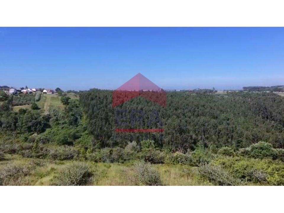 Terra a Carvalhal, Leiria - foto 4