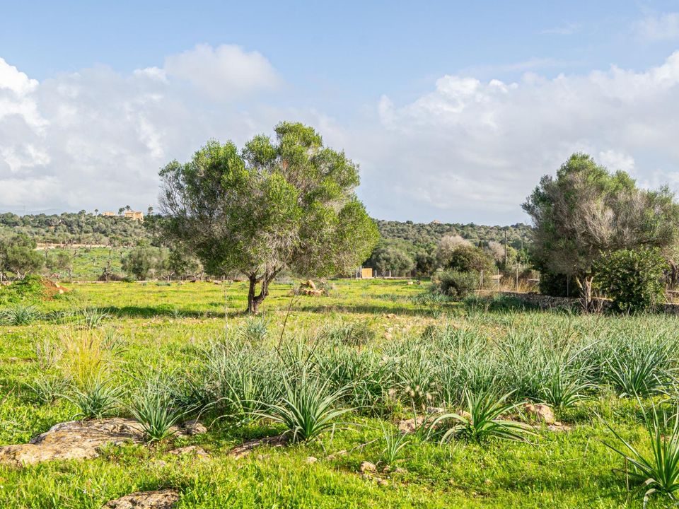 Helårsgrund i Son Carrio, Mallorca - foto 3
