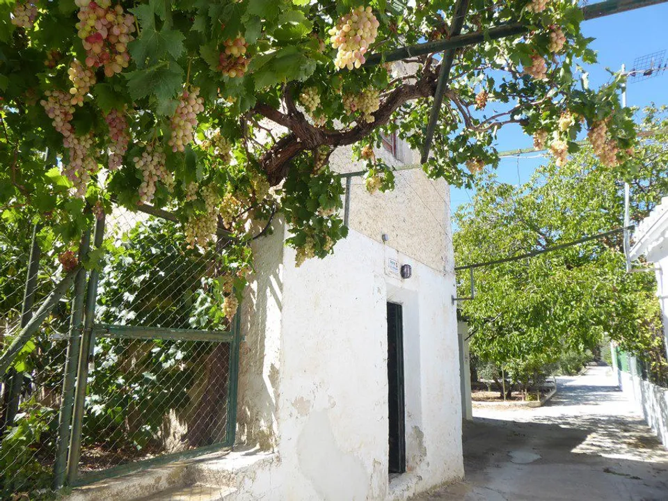 Landejendom i Baza, Granada - foto 3