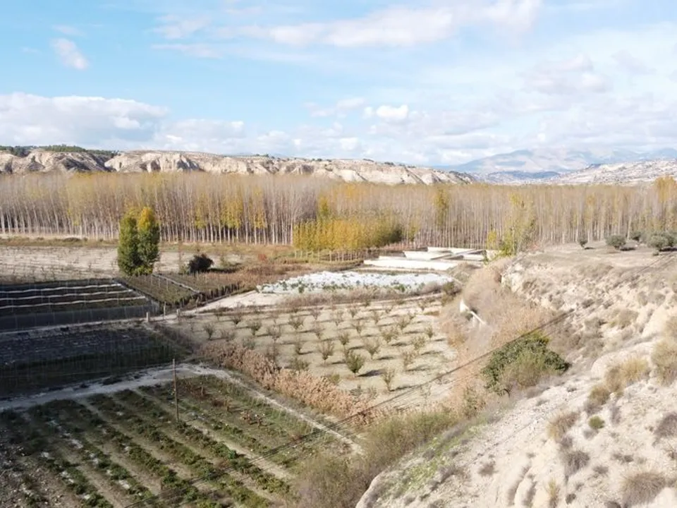 Landejendom i Cortes De Baza, Granada - foto 3
